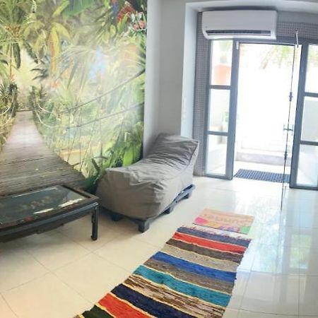 Αρέθουσα Jungle Τριάρι 65Τμ. Villa Chalkís Eksteriør bilde